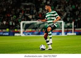 棒球与资产配置解析球员合同中的延后支付条款对未来通胀的抵御