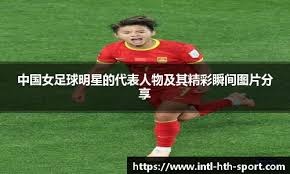 分量其二背